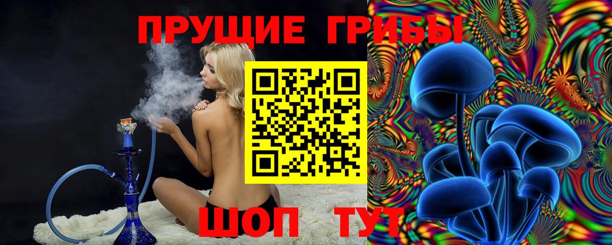 Галлюциногенные грибы Psilocybine cubensis  Вход с VPN  Карпинск 